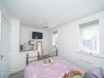 Picture 16